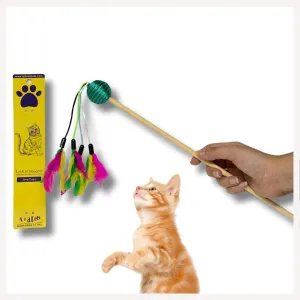 A a Pets' Cat Wand Teaser Interactive Toy with Round Feather Play - Green