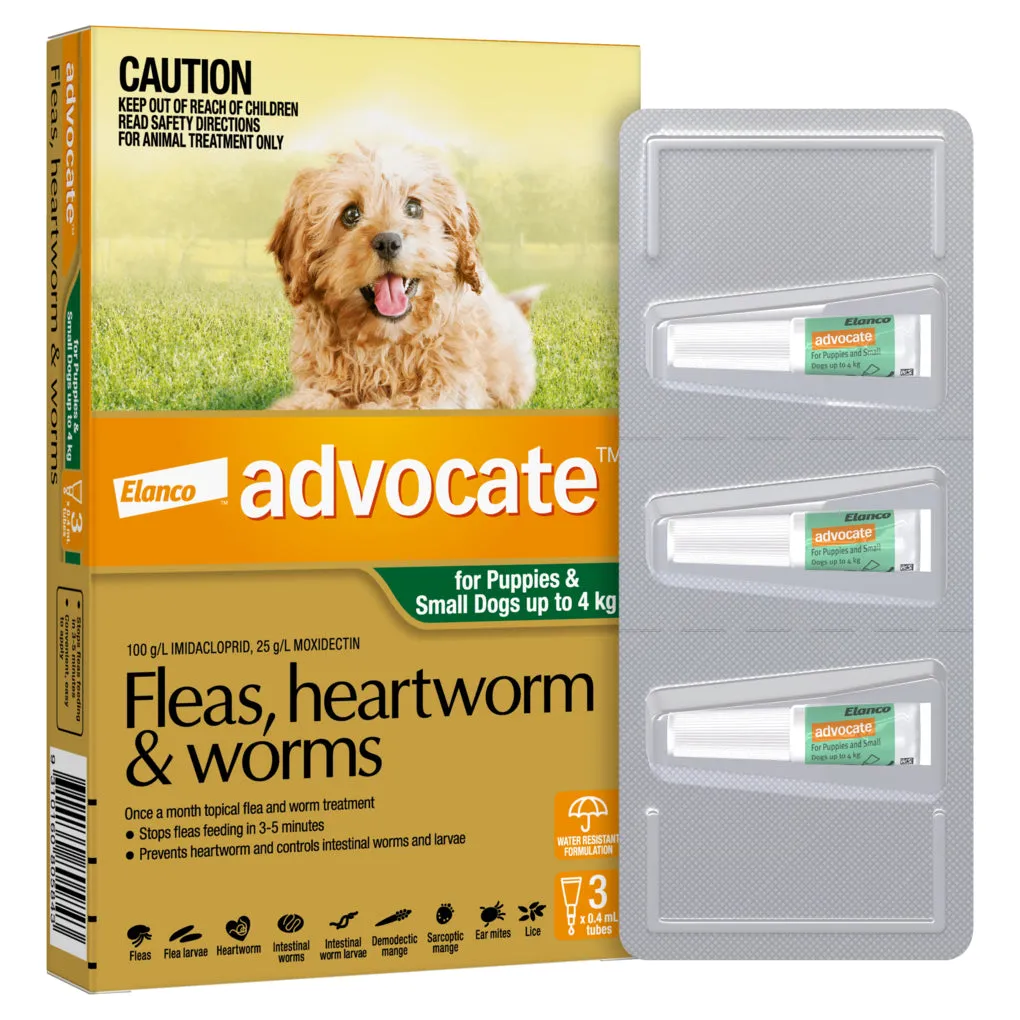 Advocate for Puppies & Dogs Under 4kg
