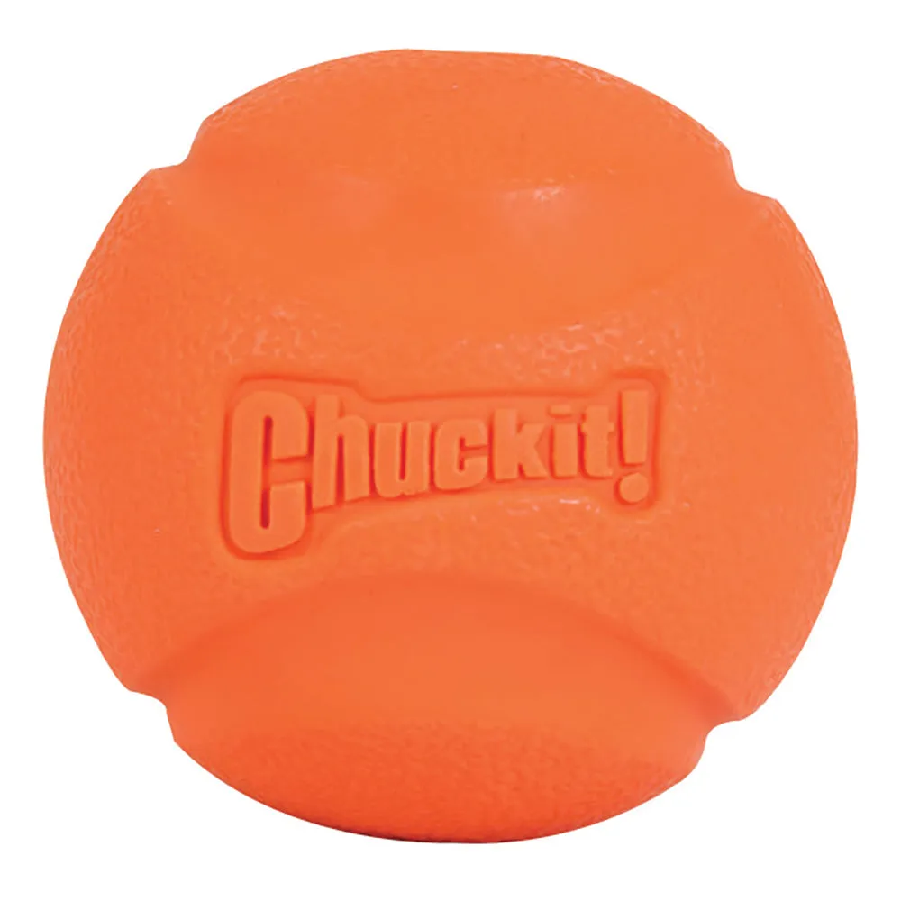 Chuckit! Fetch Ball Large Dog Toy