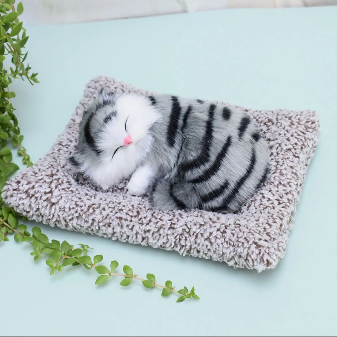 Cute Sleeping Kitty | Activated Carbon Dashboard Ornament (Absorbs Bad Smell)