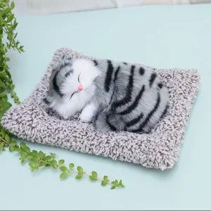 Cute Sleeping Kitty | Activated Carbon Dashboard Ornament (Absorbs Bad Smell)
