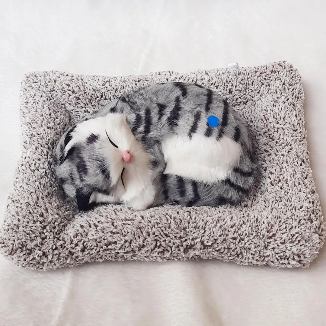 Cute Sleeping Kitty | Activated Carbon Dashboard Ornament (Absorbs Bad Smell)