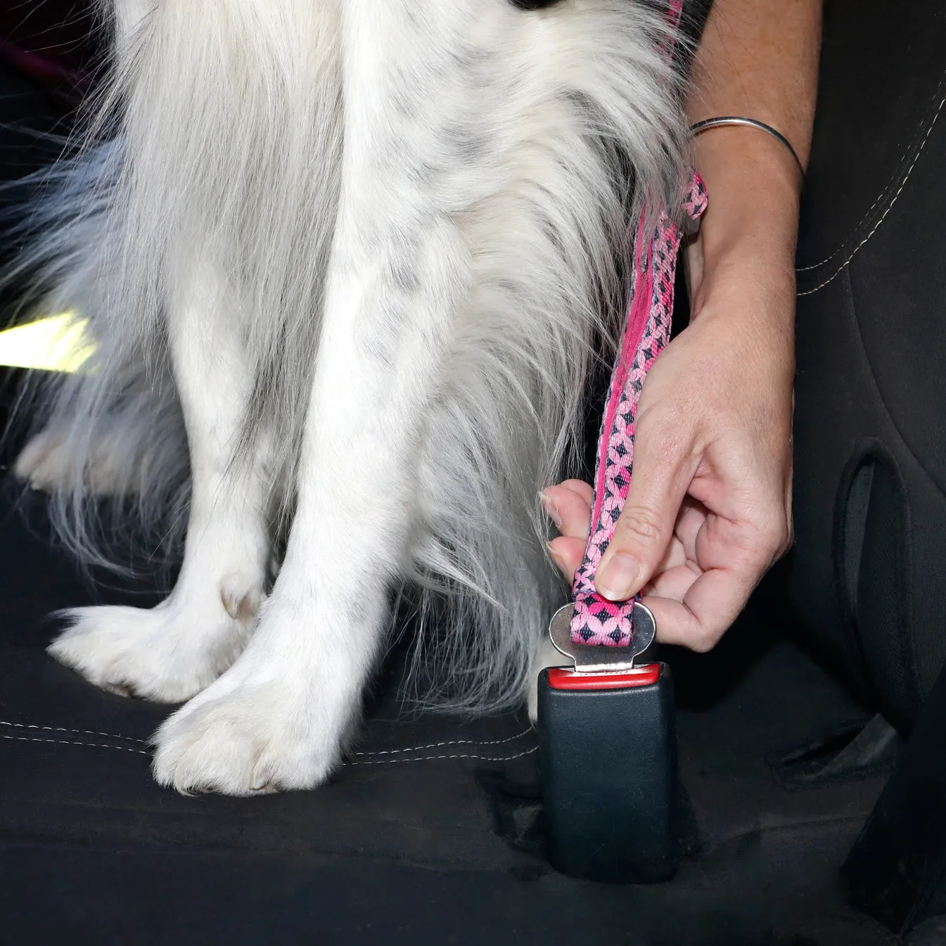 Doog Car Restraint Scooby
