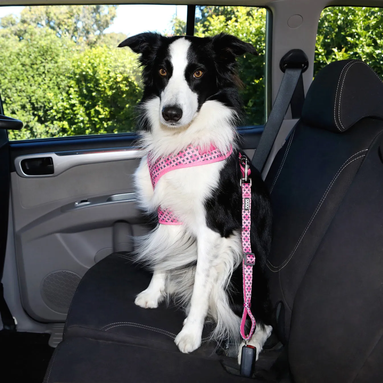 Doog Car Restraint Scooby