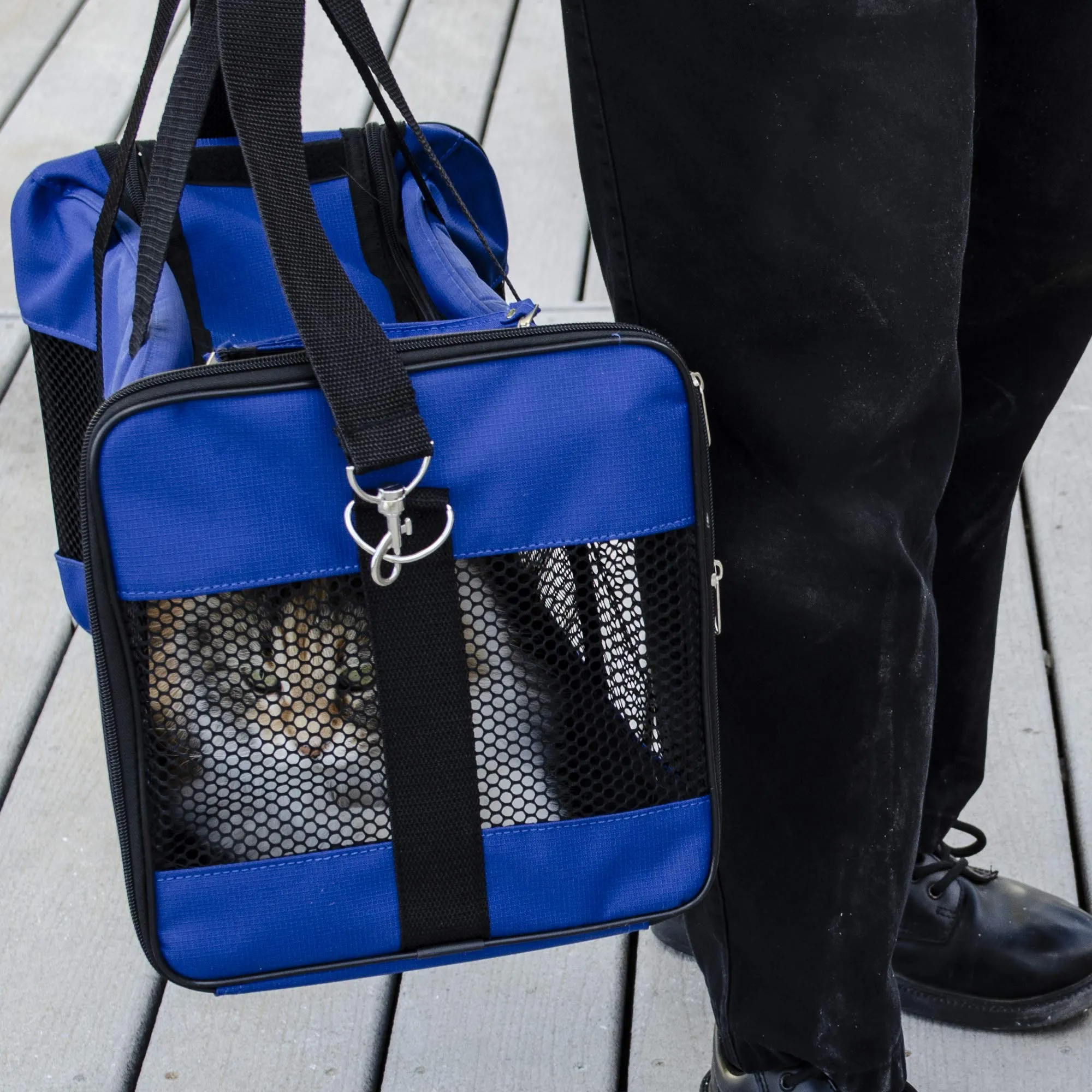 Emergency Zone Cat Deluxe Bug Out Emergency Survival Kit. Prepare Your Cat for Hurricanes, Earthquakes, Wildfires, etc.