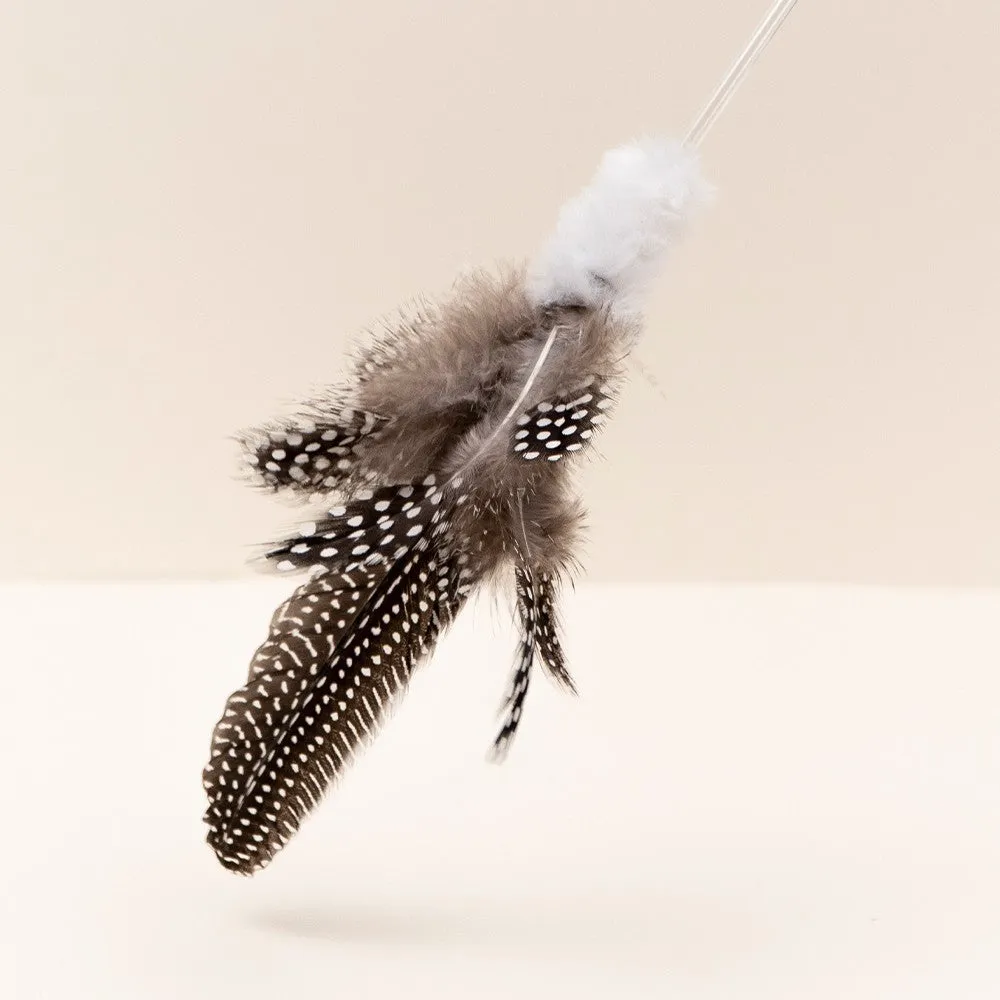 Guinea Fowl Stick Cat Teaser