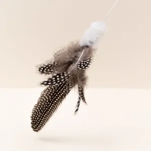 Guinea Fowl Stick Cat Teaser
