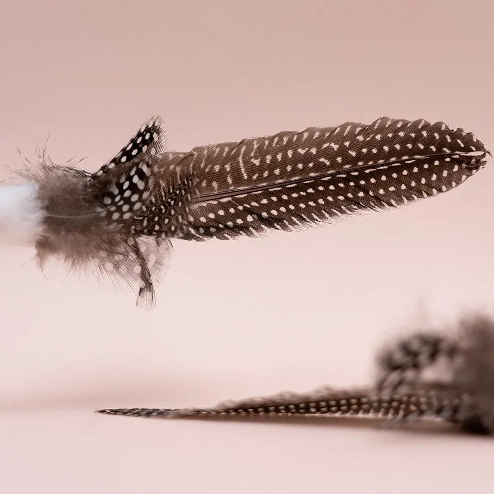 Guinea Fowl Stick Cat Teaser