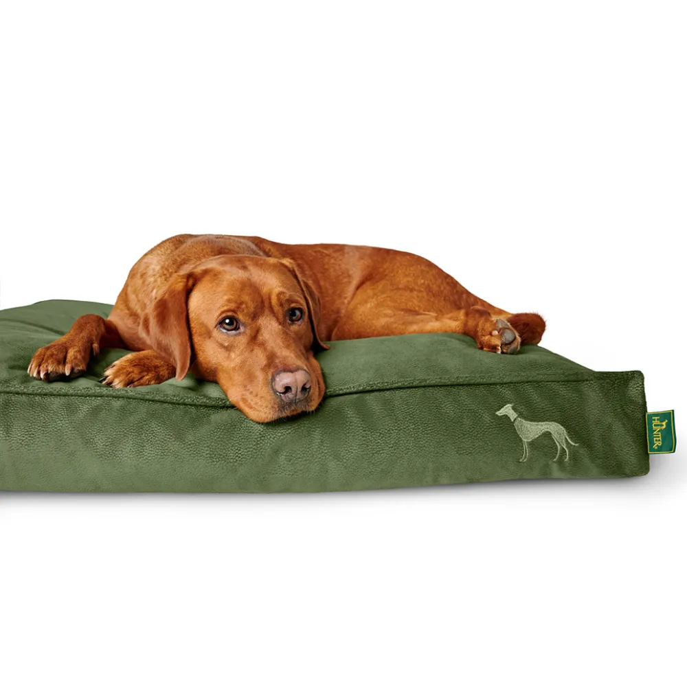 Hunter Orthopedic Merida Cushion for Dogs (Olive)
