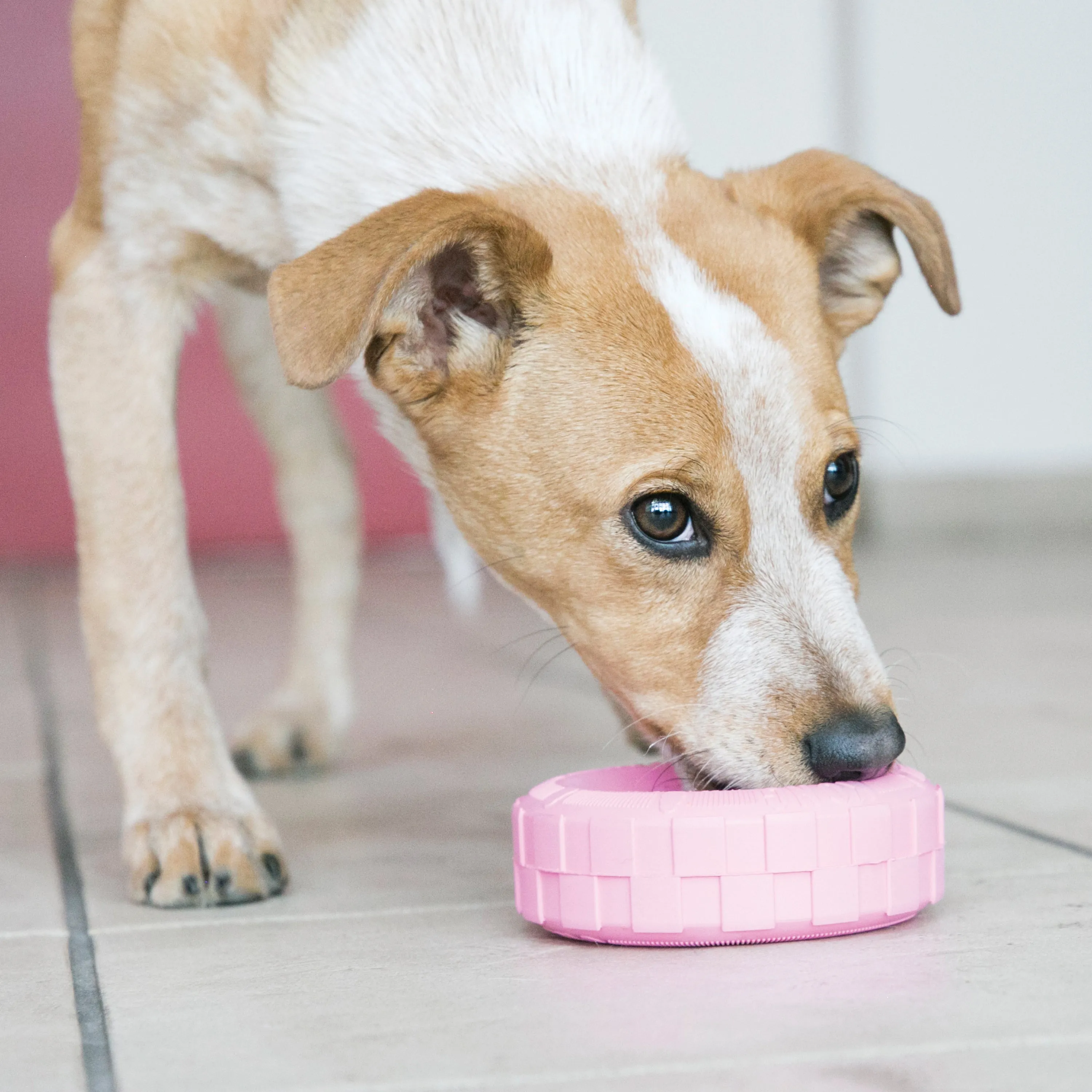 KONG | Puppy Tyre | Dog Chew Toy for Teething Puppies