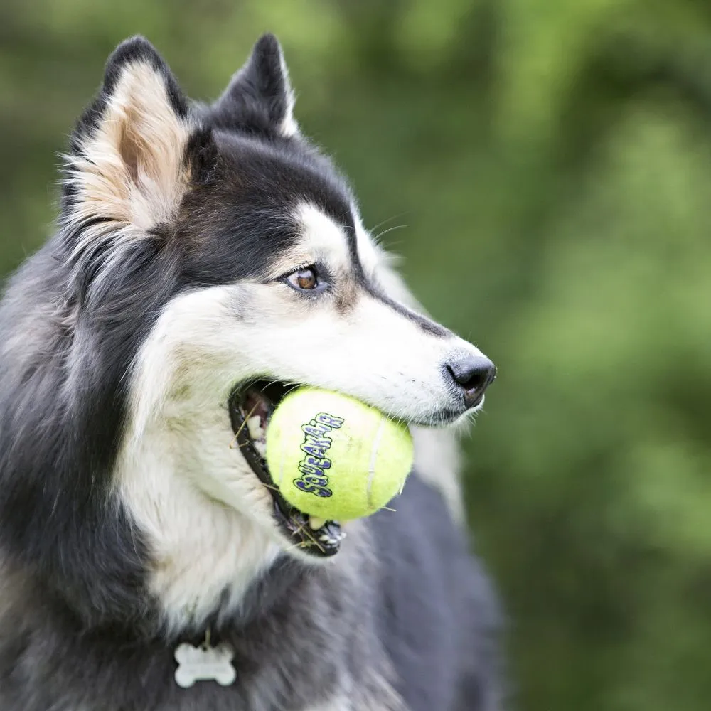 Kong SqueakAir® Tennis Ball