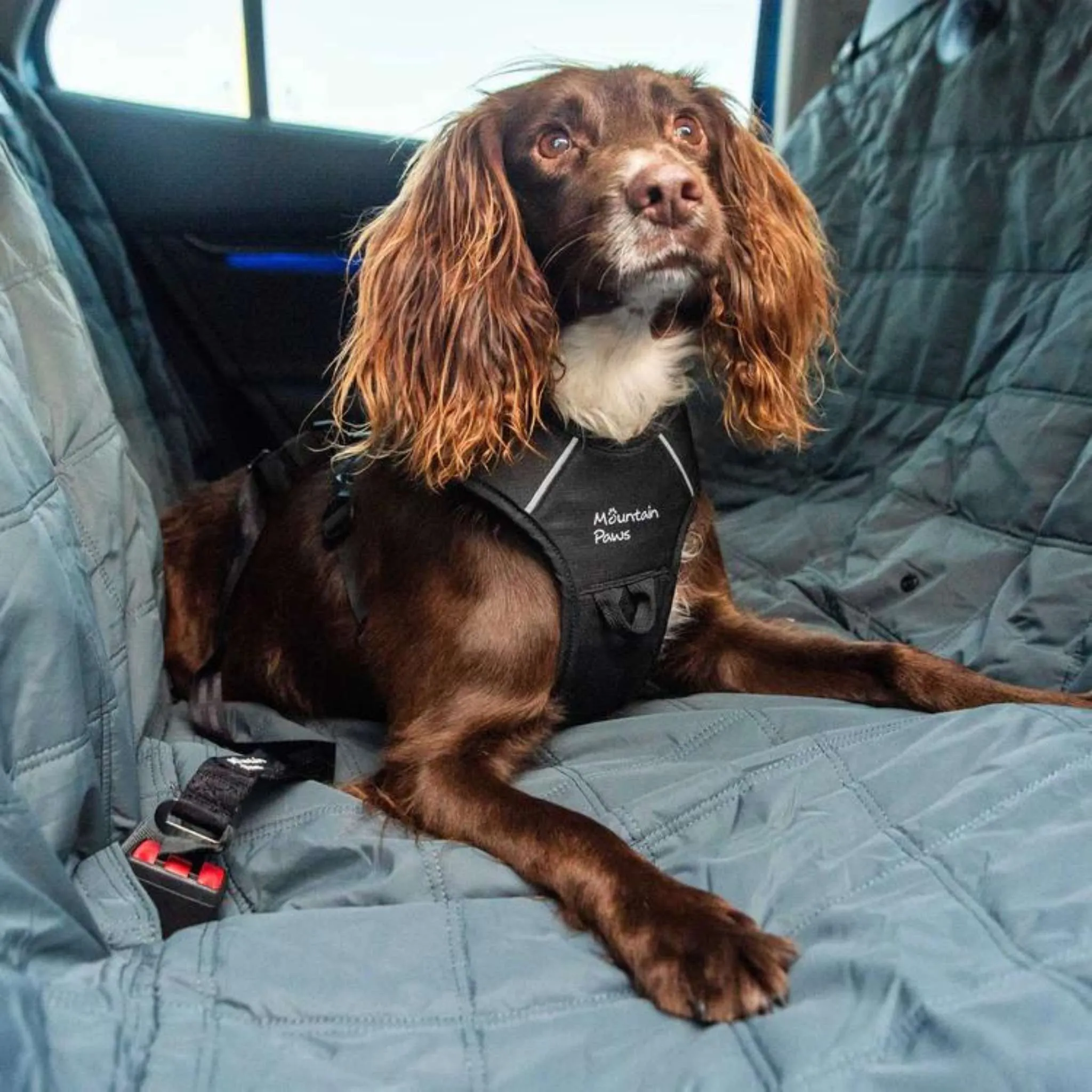 Mountain Paws Extra Tough Car Seat Cover