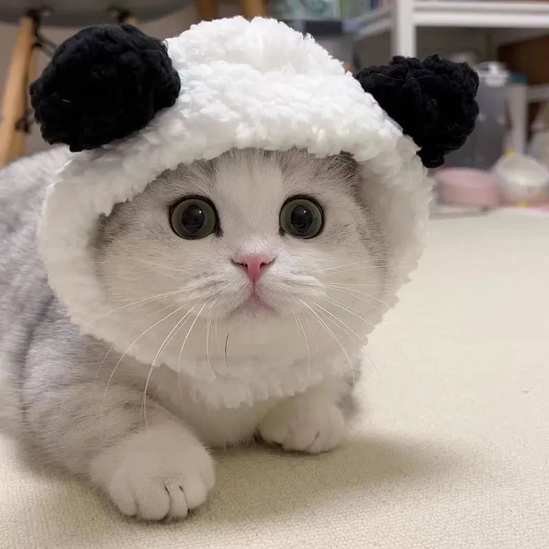 Plush Head Cover Cute Cat