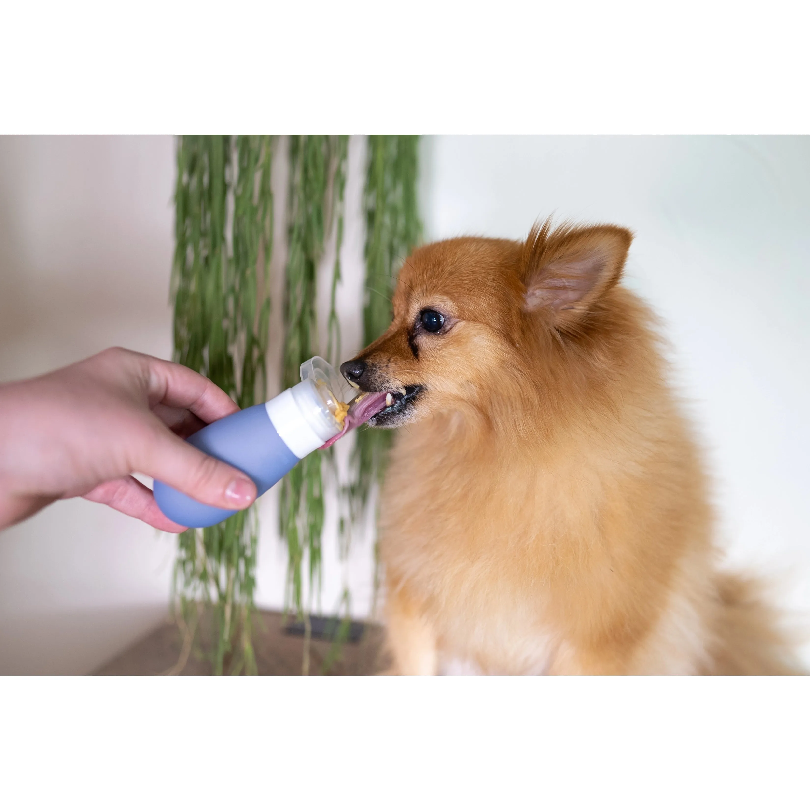 Poochbutter Pal