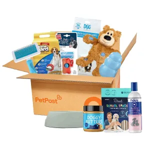 Puppy Essentials Bundle for Small Puppy