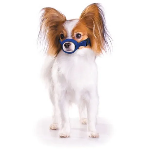 Quick Muzzle