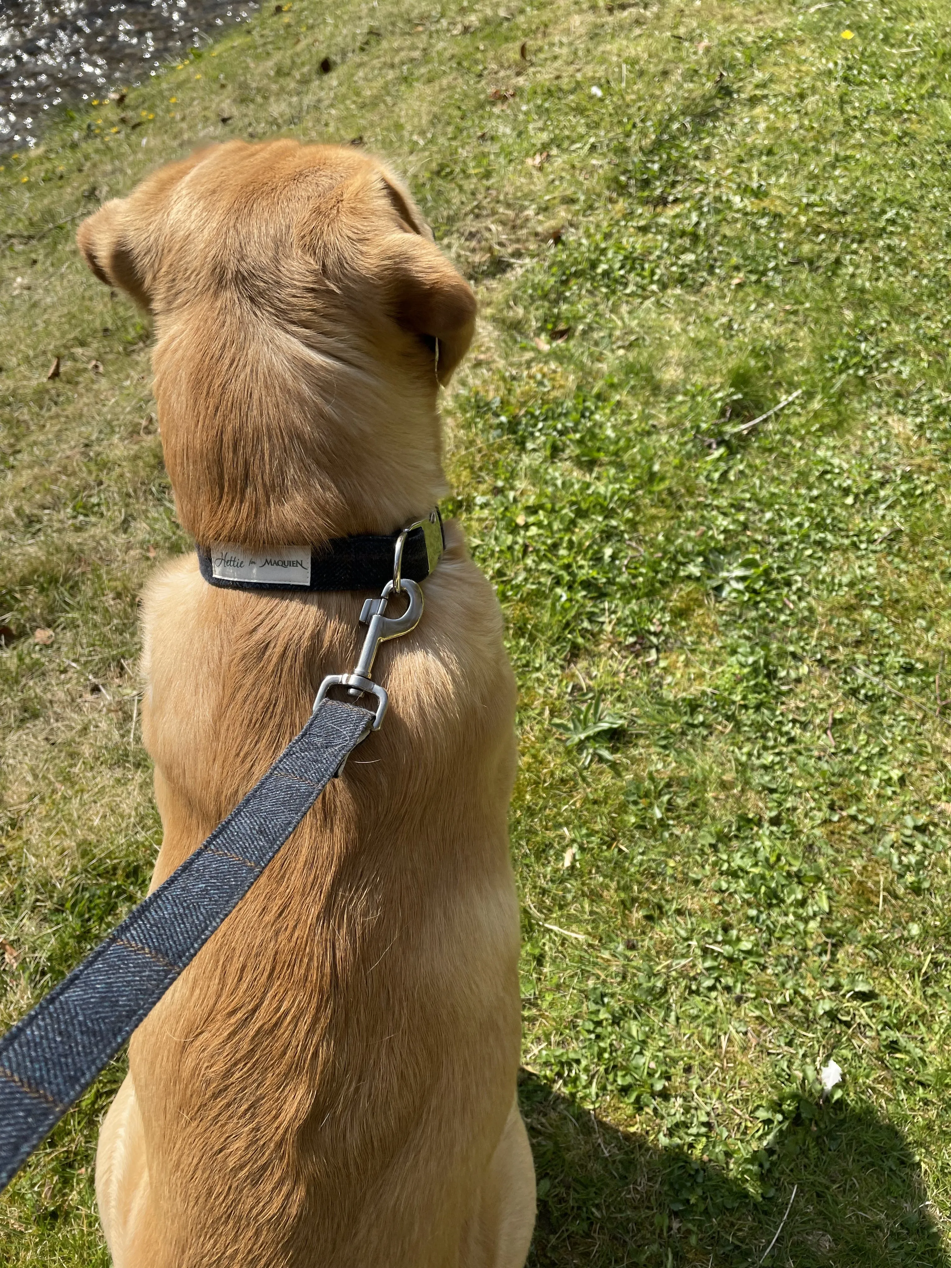 Traditional Dog Lead