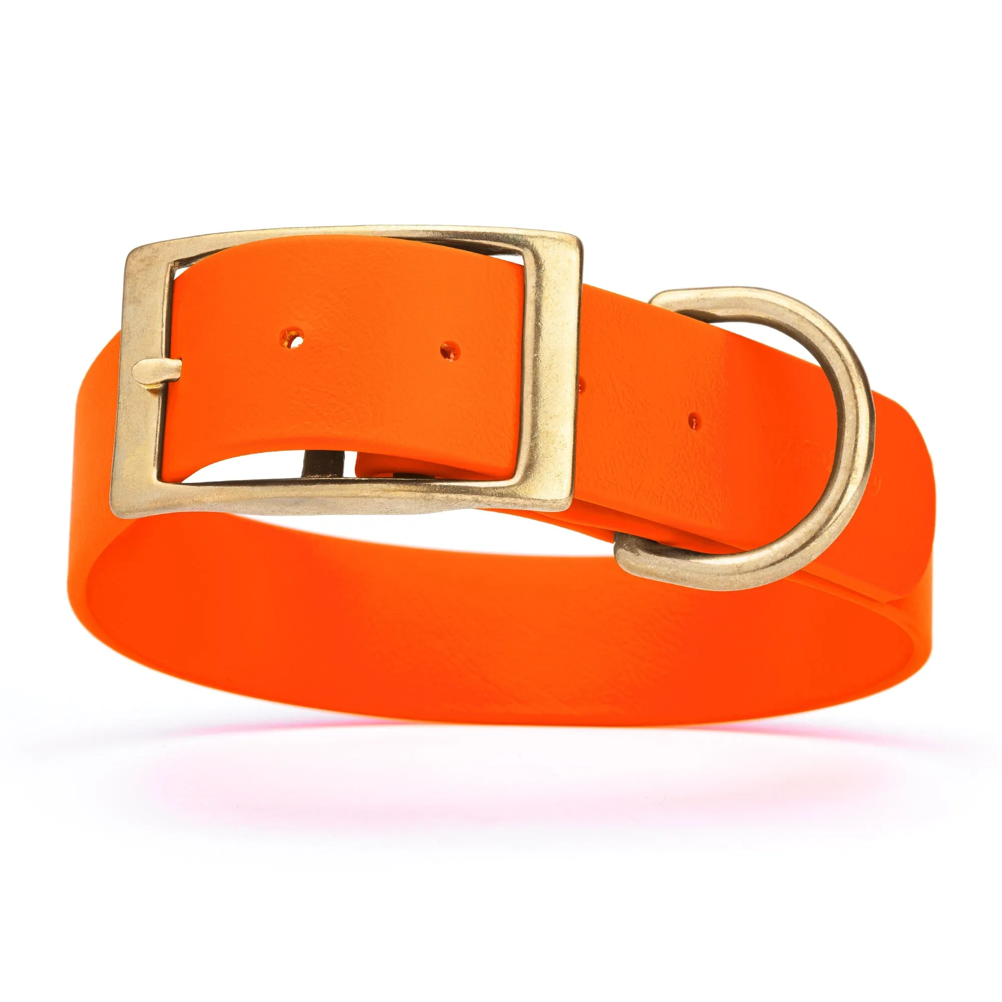 Viper Biothane Waterproof Dog Collar - Brass Hardware - Wide - Size XL (20" - 24")