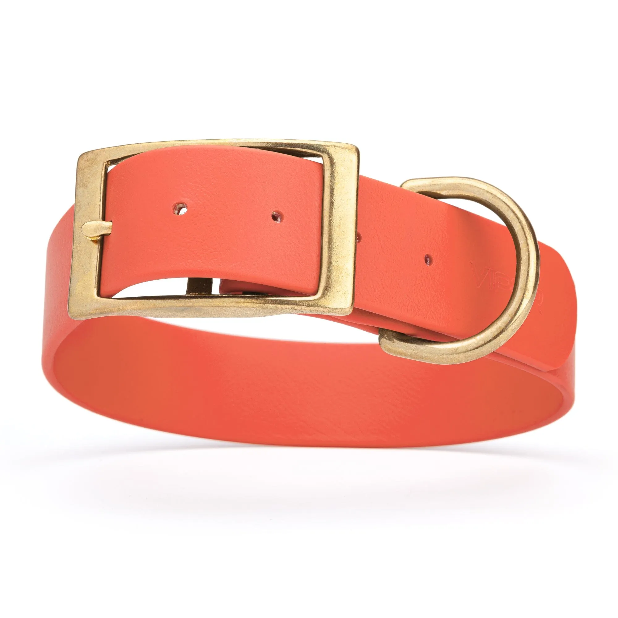 Viper Biothane Waterproof Dog Collar - Brass Hardware - Wide - Size XL (20" - 24")