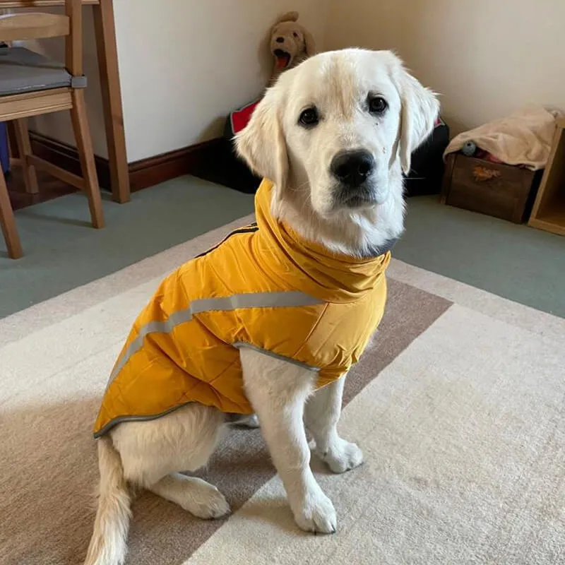 Walksters Fleece Lined Waterproof Dog Coat in Yellow