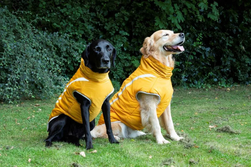 Walksters Fleece Lined Waterproof Dog Coat in Yellow