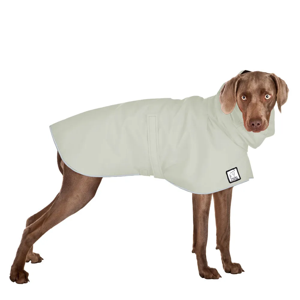Weimaraner Raincoat